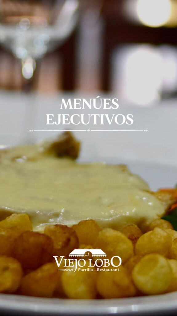 viejo-lobo-portada-ejecutivo