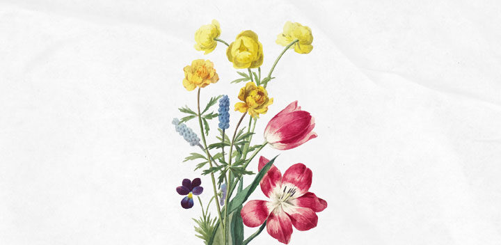 republica.verano21.manifiesto.2